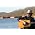 Thumbnail image of Hank Williams Jr.