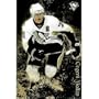 (24x36) Pittsburgh Penguins (Evgeni Malkin) Sports Poster Print
