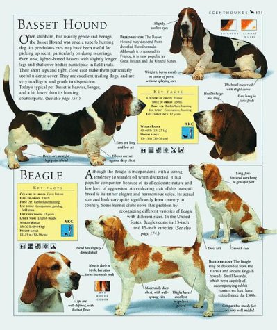 Cover image : The Encyclopedia of the Dog: The Definitive Visual Guide