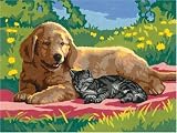 Eigenschaften Ravensburger 28811 / Picknickfreunde - Malen nach Zahlen