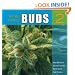 The Big Book of Buds, Vol. 2: More Marijuana Varieties from the World's Great Seed Breeders