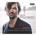 Hasse Reloaded