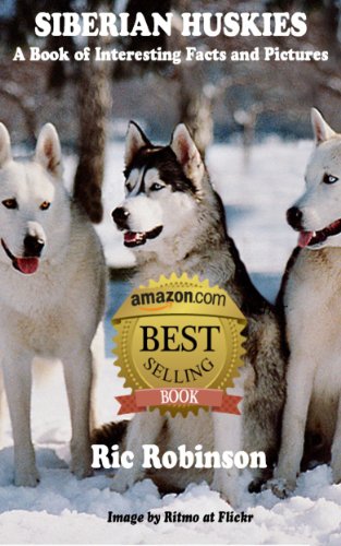 SIBERIAN HUSKIES - Interesting Facts and Pictures
