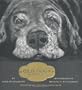 Old Dogs: Are the Best Dogs