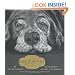 Old Dogs: Are the Best Dogs