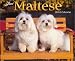 Book Just Maltese 2004 Calendar