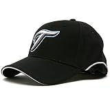 Toronto Blue Jays Authentic BP Performance 39THIRTY Cap