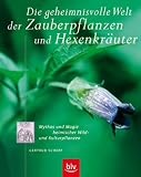 Die geheimnisvolle Welt der Zauberpflanzen und Hexenkr�uter: Mythos und Magie heimischer Wild- und Kulturpflanzen. Das Buch erschlie�t das Kr�uterwissen ... Bedeutung und Verwendung als Heilpflanze - Gertrud Scherf