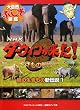 ���̐������̐V�`���q1�r (NHK�_�[�E�B��������!�������̐V�`���厩�R�ӂ����}��)