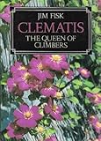 Clematis