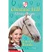 Chasing Dreams (Chestnut Hill)