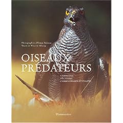 Oiseaux pr�dateurs, chasseurs, p�cheurs, charognards et pirates