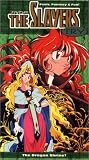 The Slayers Try: The Dragon Shrine? [VHS]