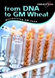 From DNA to GM Wheat: Discovering Genetically Modified Food : Discovering Genetically Modified Food (Chain Reactions): Discovering Genetically Modified Food (Chain Reactions)