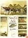 Noah's Ark