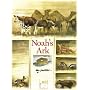 Noah's Ark