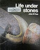 Life under stones