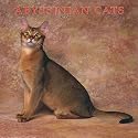 Abyssinian Cats 2007 Calendar