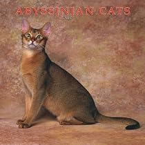 Abyssinian Cats 2007 Calendar