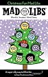 Christmas Fun Mad Libs