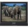 Sharp Aquos LC-15S1UB 15-Inch Flat-Panel LCD TV, Black