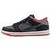 Nike Men's Dunk Low Pro SB Skateboarding Shoes