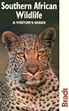 Southern African Wildlife (Bradt Wildlife Guides)