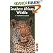 Southern African Wildlife (Visitor's Guides (Brandt))
