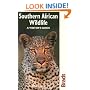 Southern African Wildlife (Bradt Travel Guide)