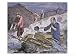 Chinese Immigrants Working on the Gold Fields, 1849 Art Giclee Poster Print by Americ...