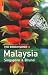The Rough Guide to Malaysia, Singapore  &  Brunei 5 (Rough Guide Travel Guides)