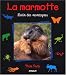 La marmotte, lutin des montagnes
