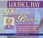 Dissolving Barriers