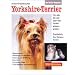 Der Yorkie-Ratgeber: Yorkshire-Terrier