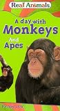 Real Animals: Day With Monkeys