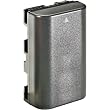 Lenmar DLS11 Lithium-ion Digital Camera/Camcorder Battery Equivelent to the Sony NP-F10 Battery