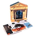 Museum Of Natural History: Insects Discover The World Of Insects In This Ultimate Museum Experience (Quarto Children's Book)