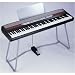 KORG SP-250 Portable Digital Piano with Stand and Pedal