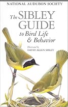 The Sibley Guide to Bird Life & Behavior