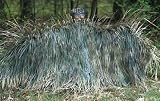 Avery Hunting Supplies RealGrass by Avery