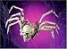 13" Human Skeleton Bone Spider Halloween Prop