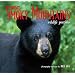 Great Smoky Mountains Wildlife Portfolio