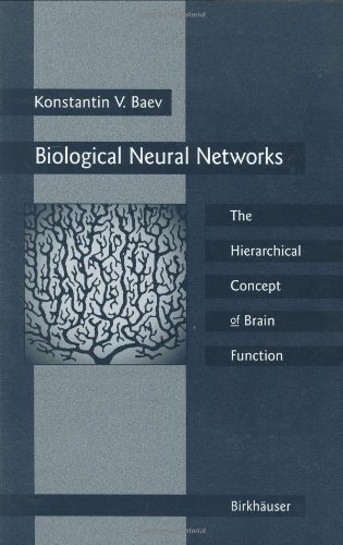 biological neural networks hierarchical concept of brain function