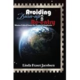 avoiding burn up on re entry mission critical essays for expats  employers