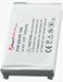 New Battery for Sony Ericsson T200 Cell Phone