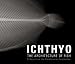 Ichthyo: The Architecture of Fish