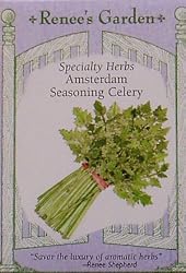 Amsterdam Seasoning Celery Seeds 800 Seeds