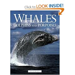 Whales, Dolphins and Porpoises