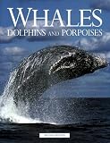 Whales, Dolphins and Porpoises