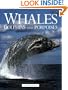 Whales, Dolphins and Porpoises